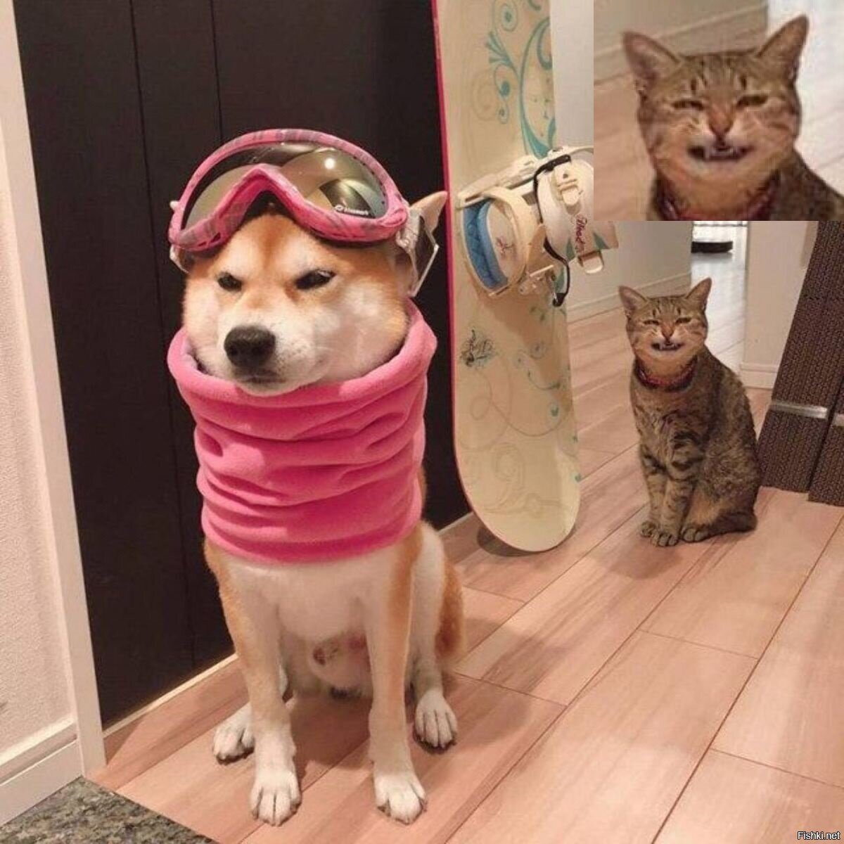Солянка