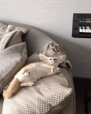 Дружбаны