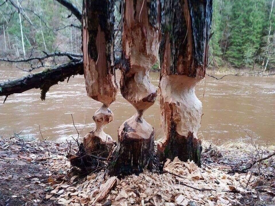 Похоже на учебный класс