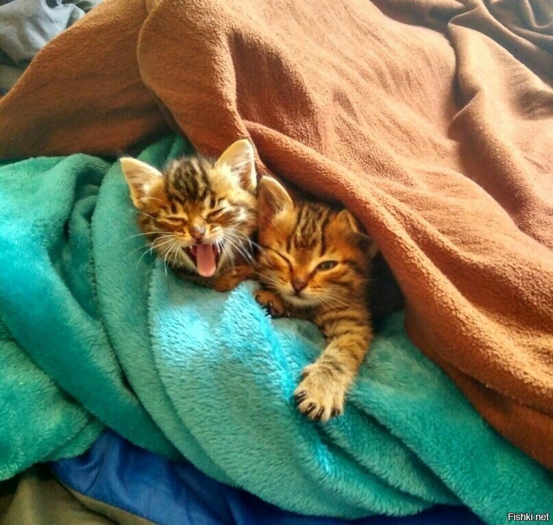 Уютных выходных