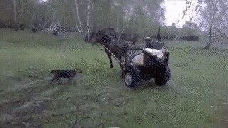 Деревенский дрифт