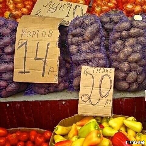 Солянка