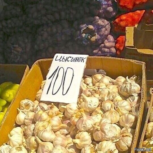 Солянка