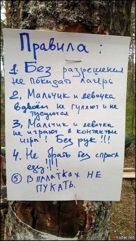 Такой лагерь