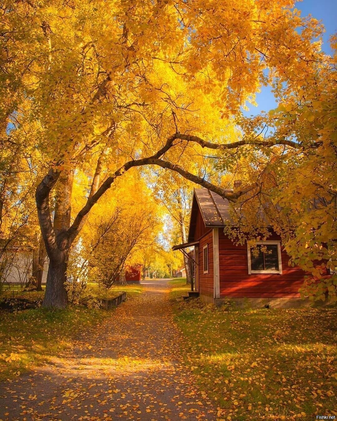 Солянка
