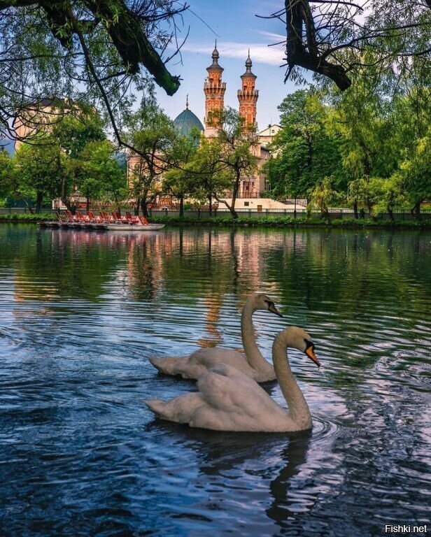 Владикавказ