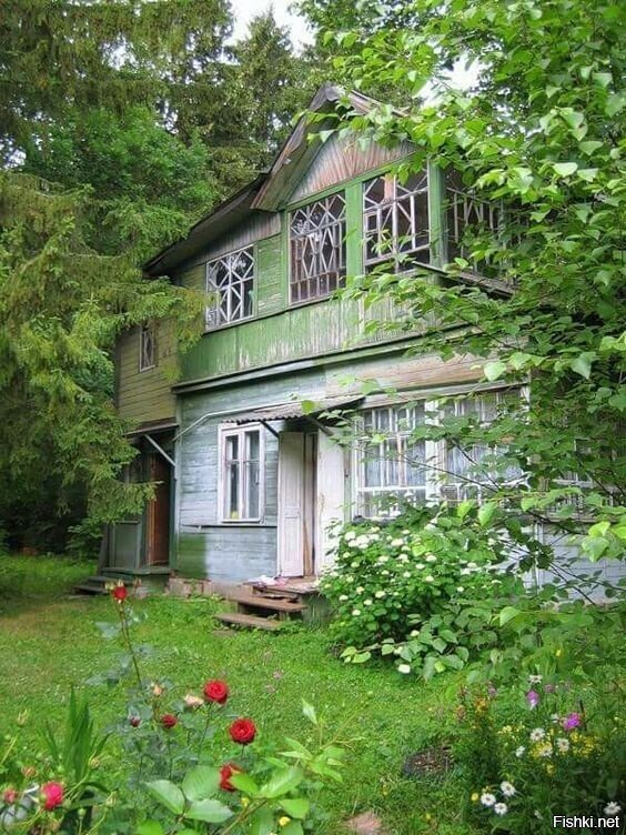 Солянка