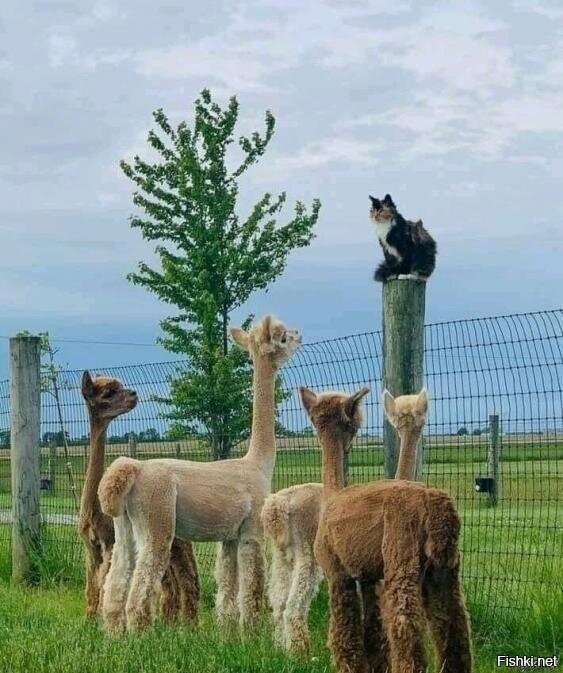 Просто сложный год