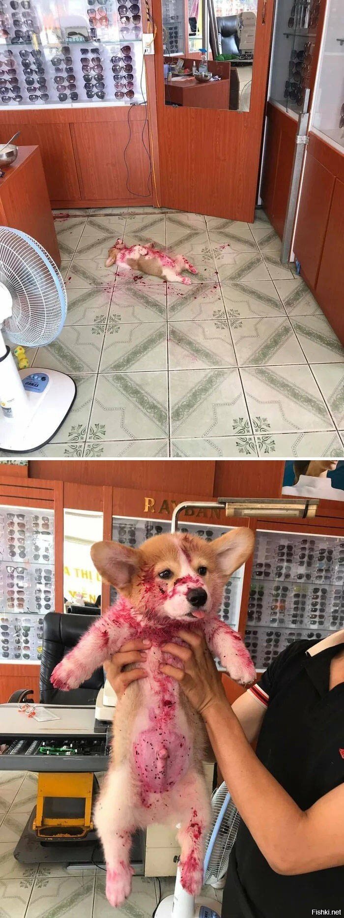 Солянка