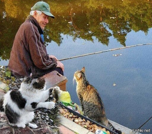 Одну рыбку поймаю,