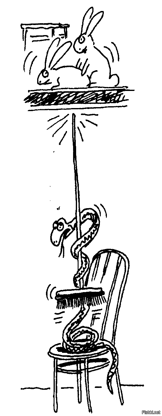 ЧЕЛОВЕК СОЗДАН ДЛЯ ЛЮБВИ, КАК КРОЛИК…