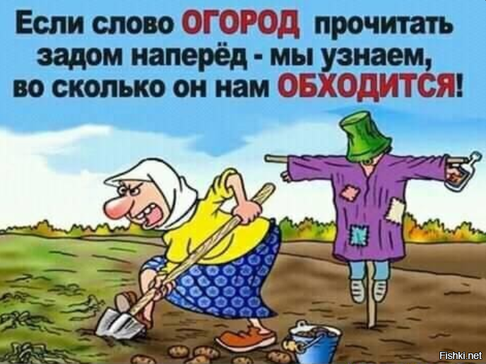 Солянка