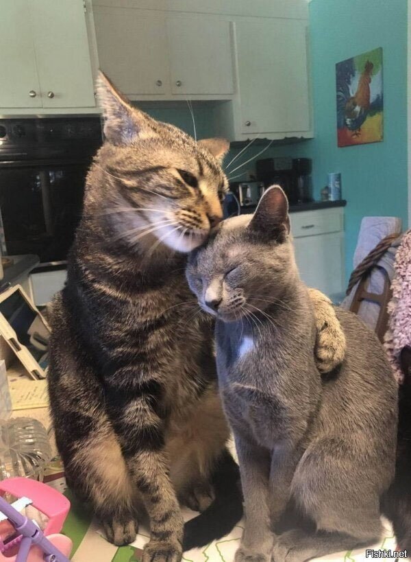 Love is