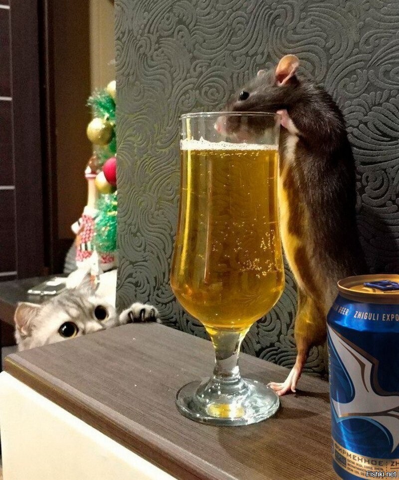 Ах ты паразит