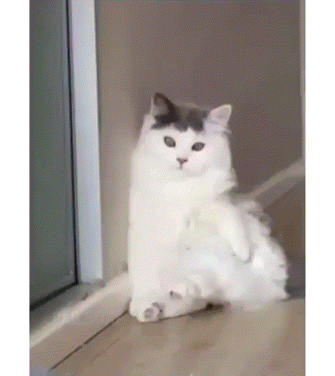 Годы балета