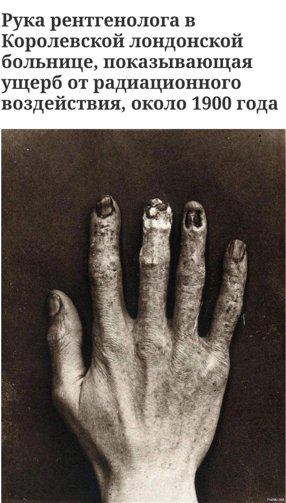 На счёт 1900 года не уверен