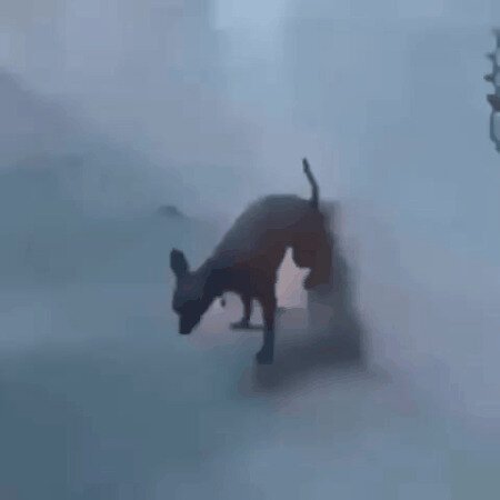 Закладка мин