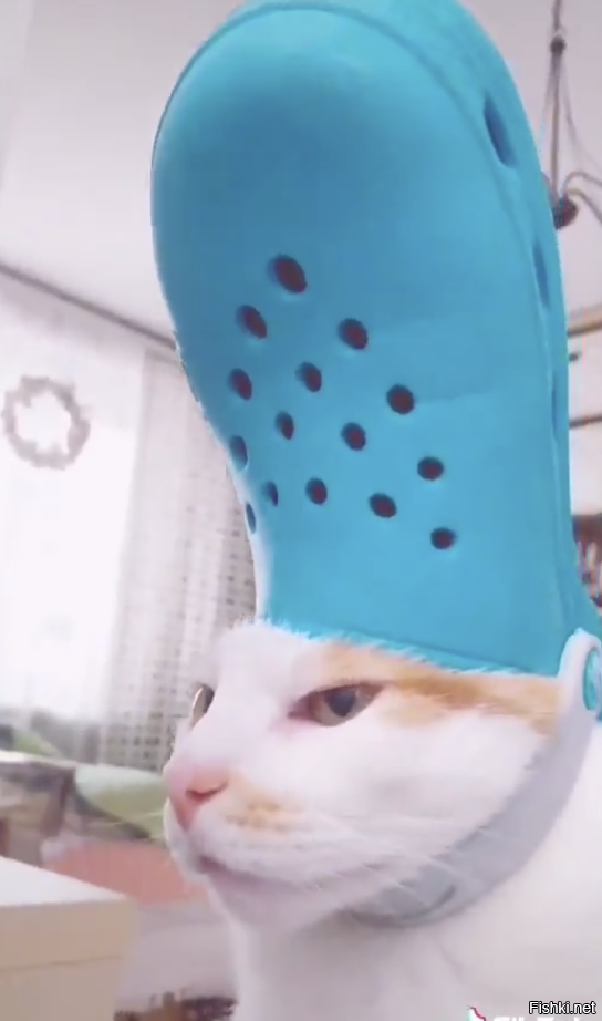 ну да, не сдержался