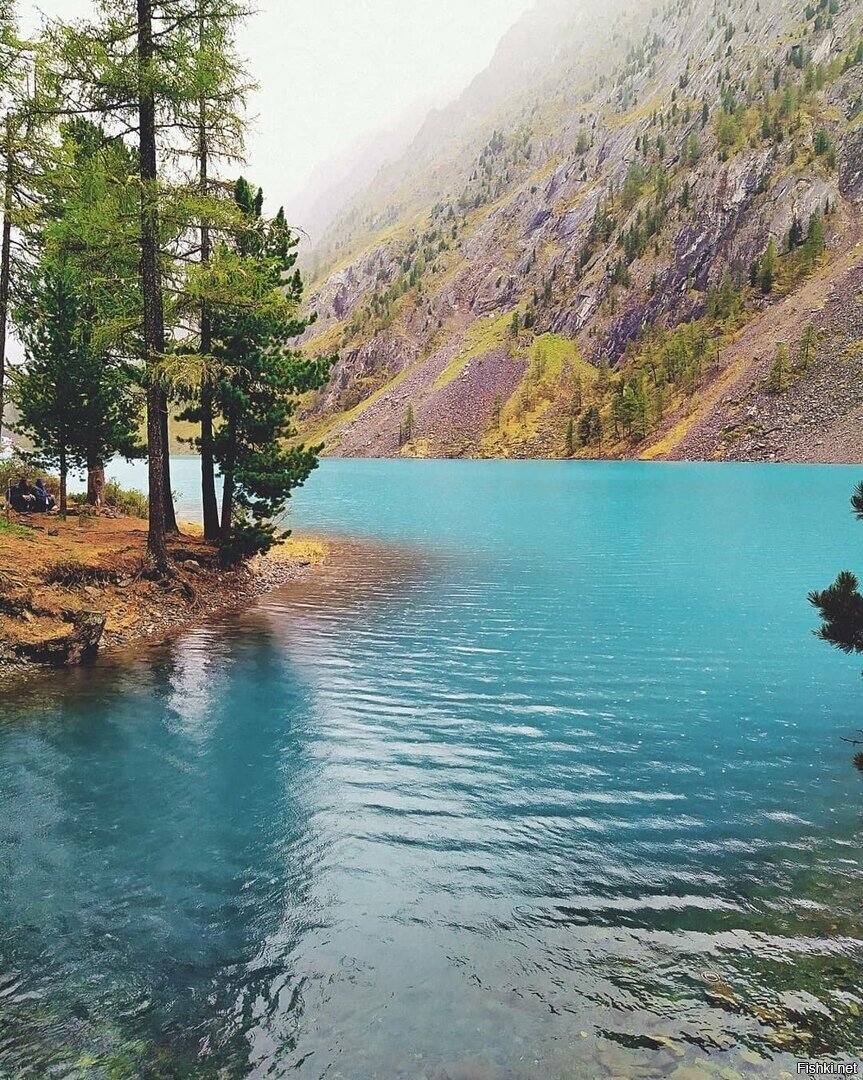 Алтайский край