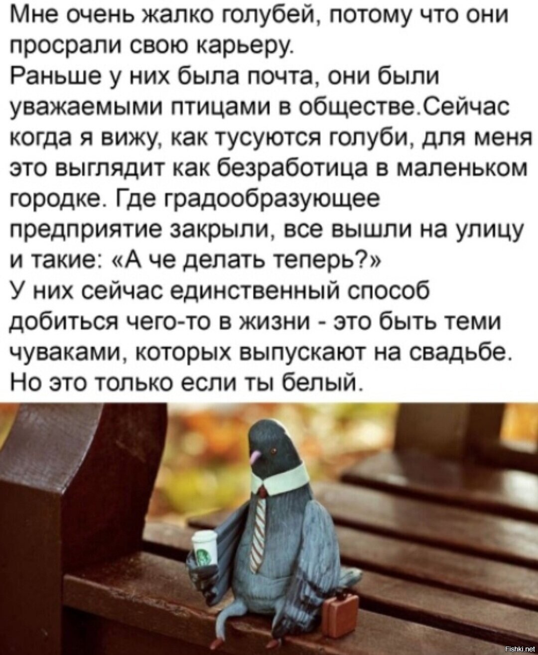 Моему другу посвящается