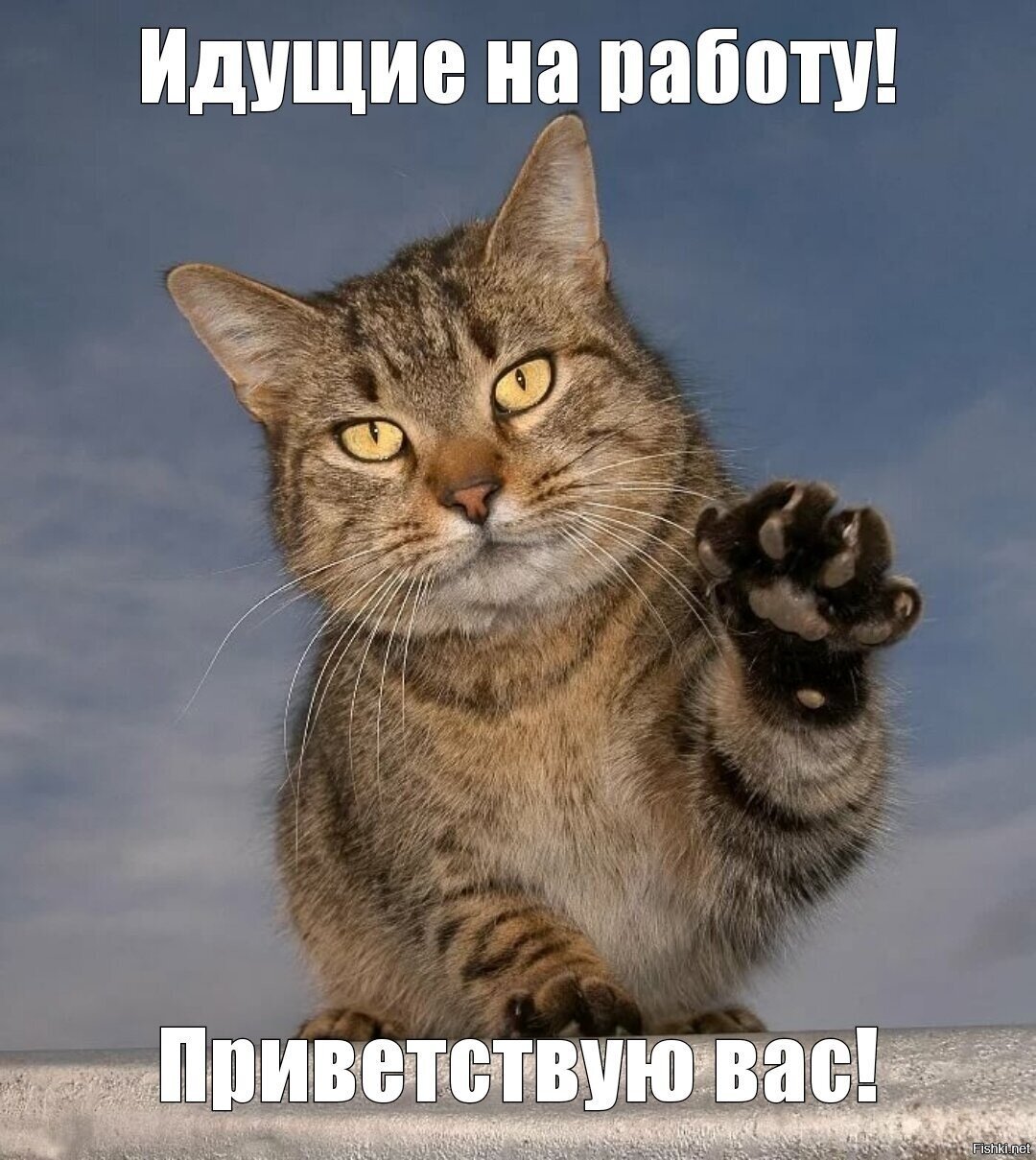 Всем добра и хорошего настроения