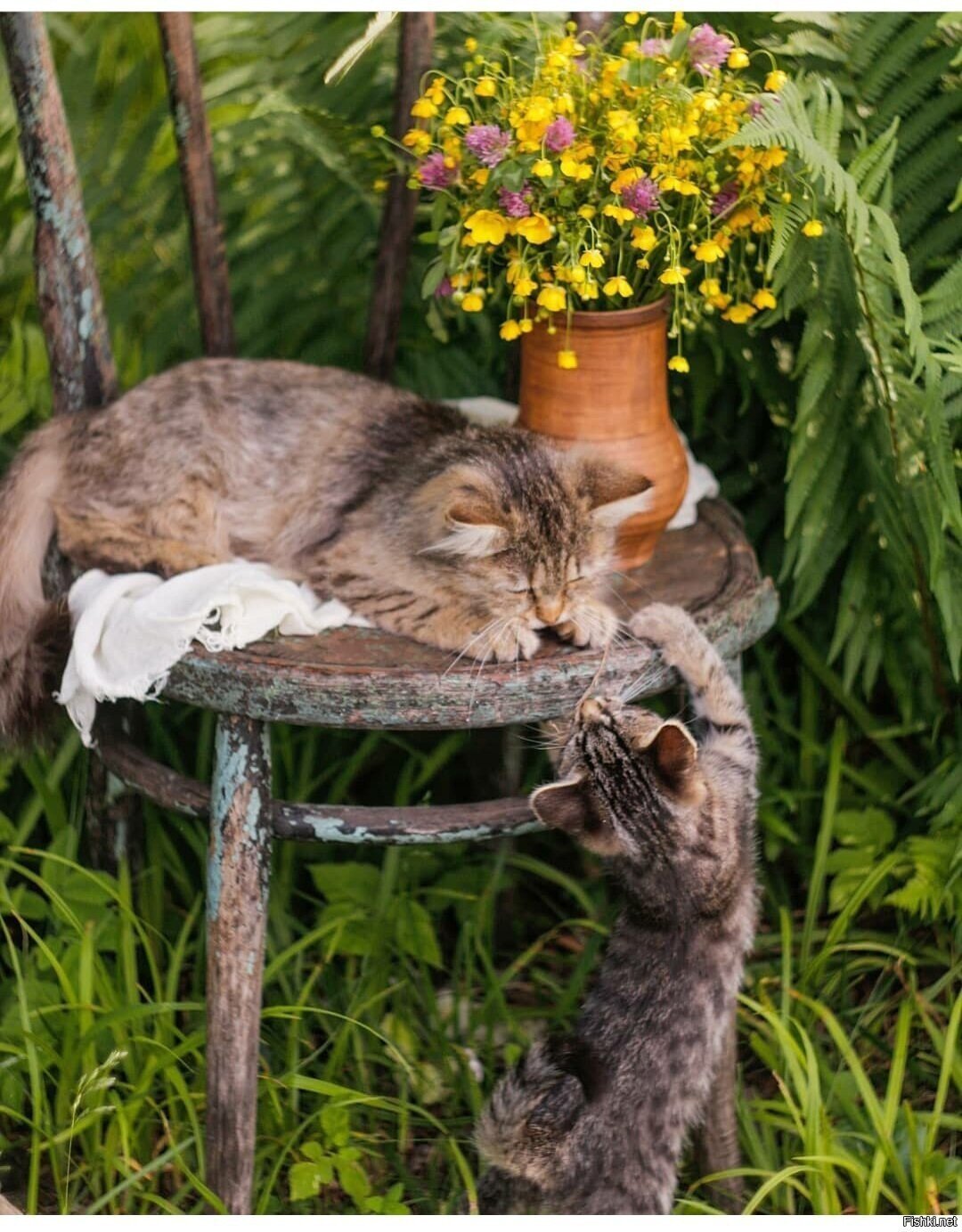 Солянка