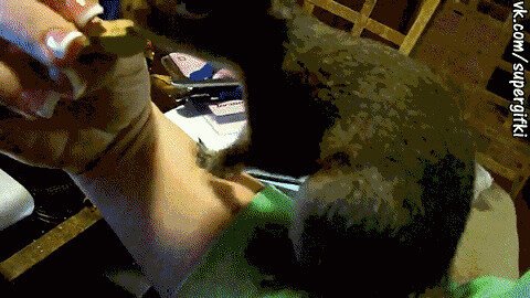 Заначка