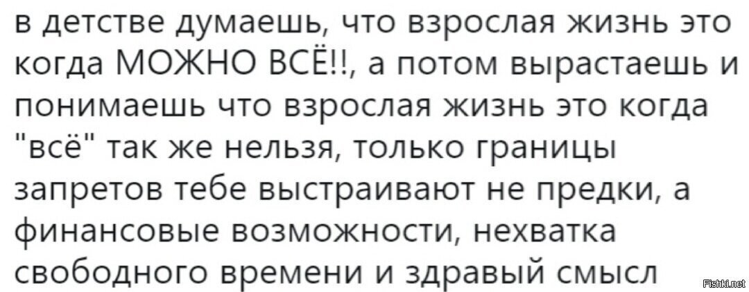 Здравый смысл