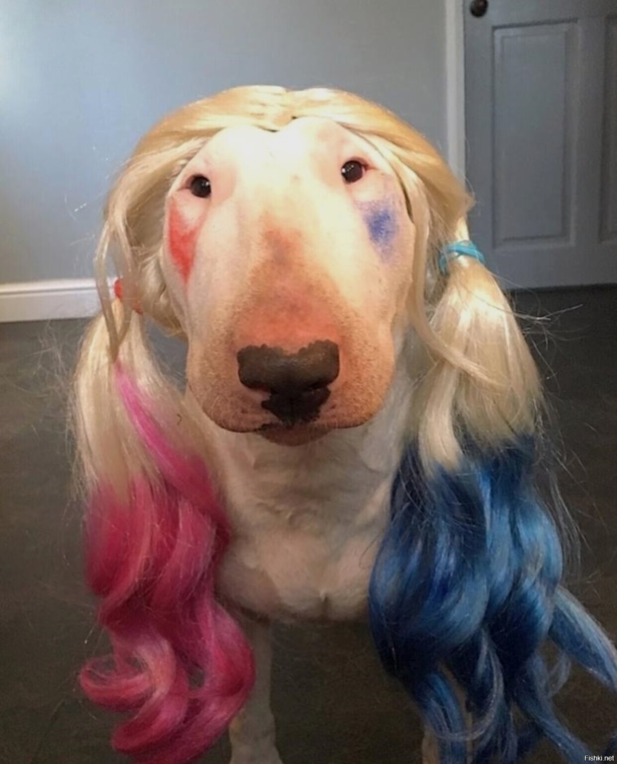 Солянка
