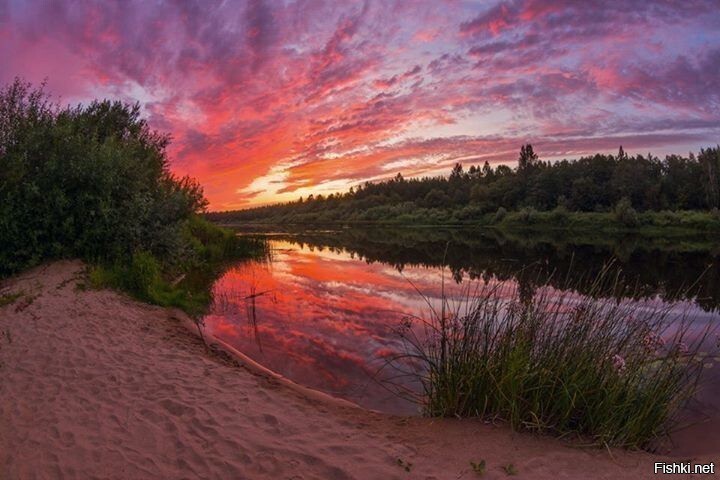 Солянка