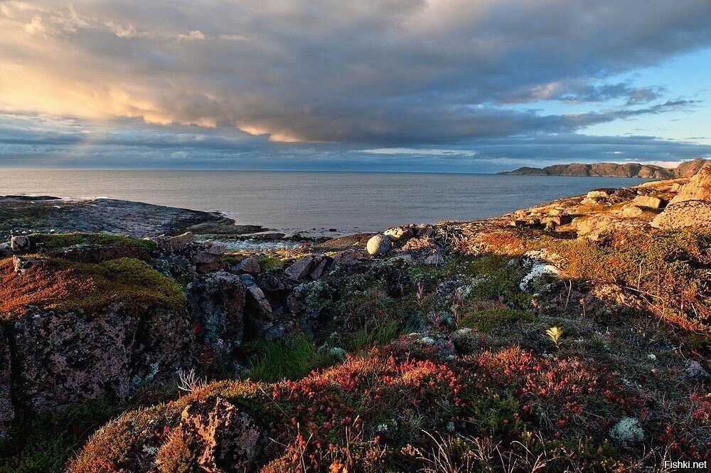 Берега Баренцева моря