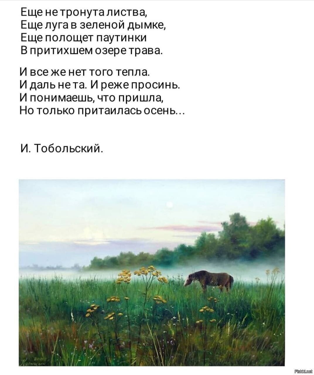 Солянка