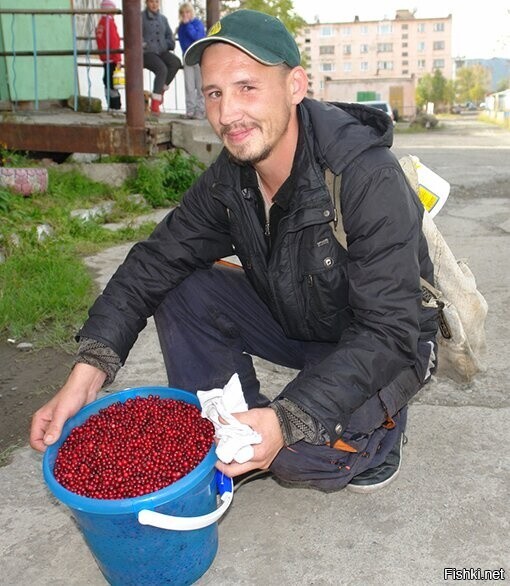 Брусника