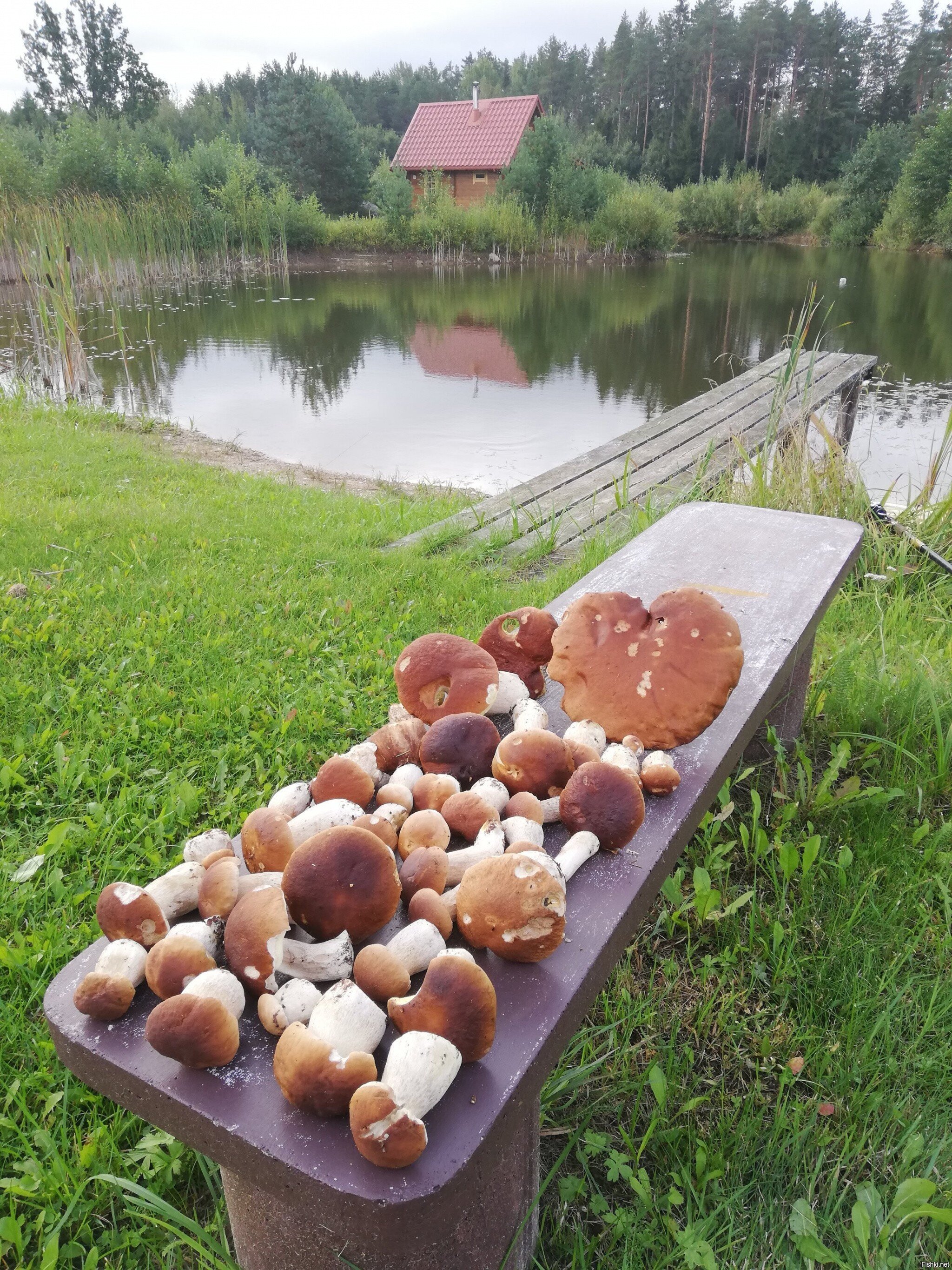 Солянка