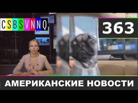 Американские новости 363