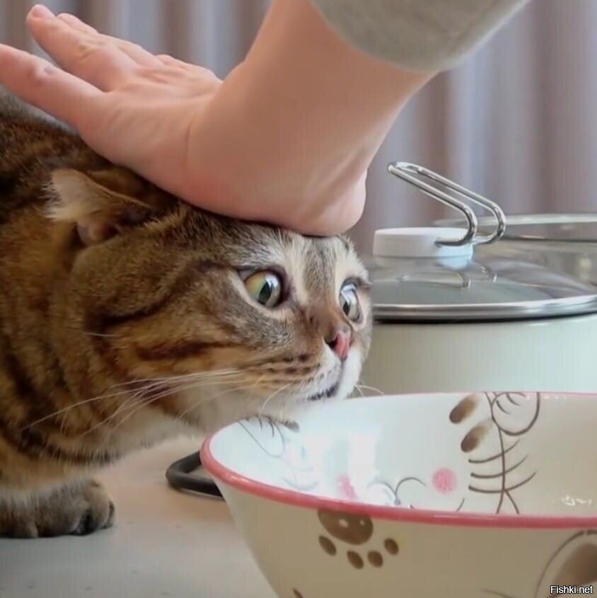Когда очень хочется, но нельзя