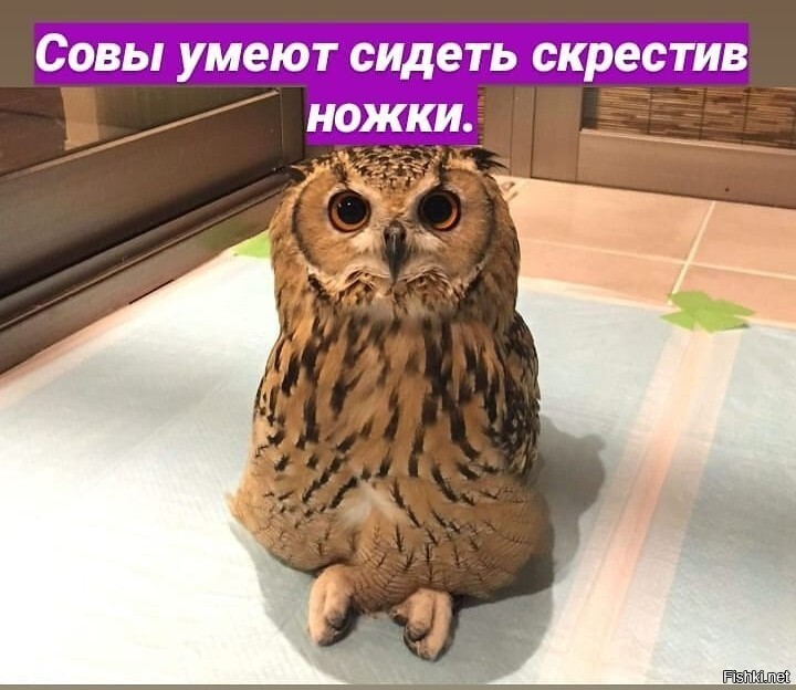 А Вы знали