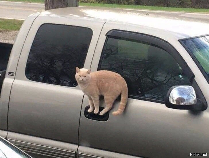 Физика, она такая