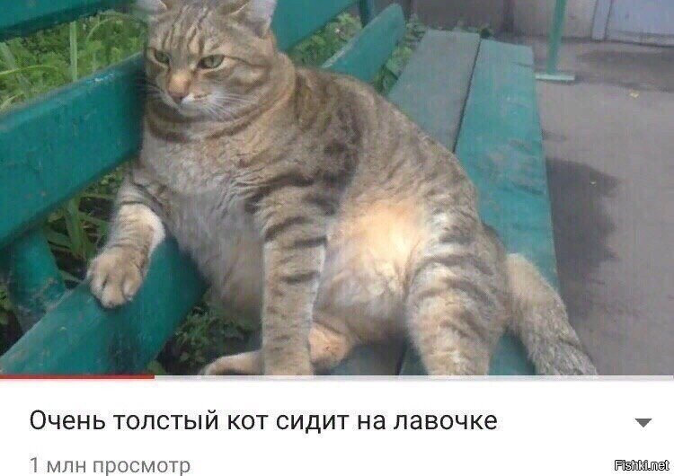 лям просмотров))