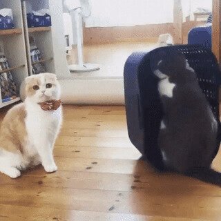Мой нервный друг