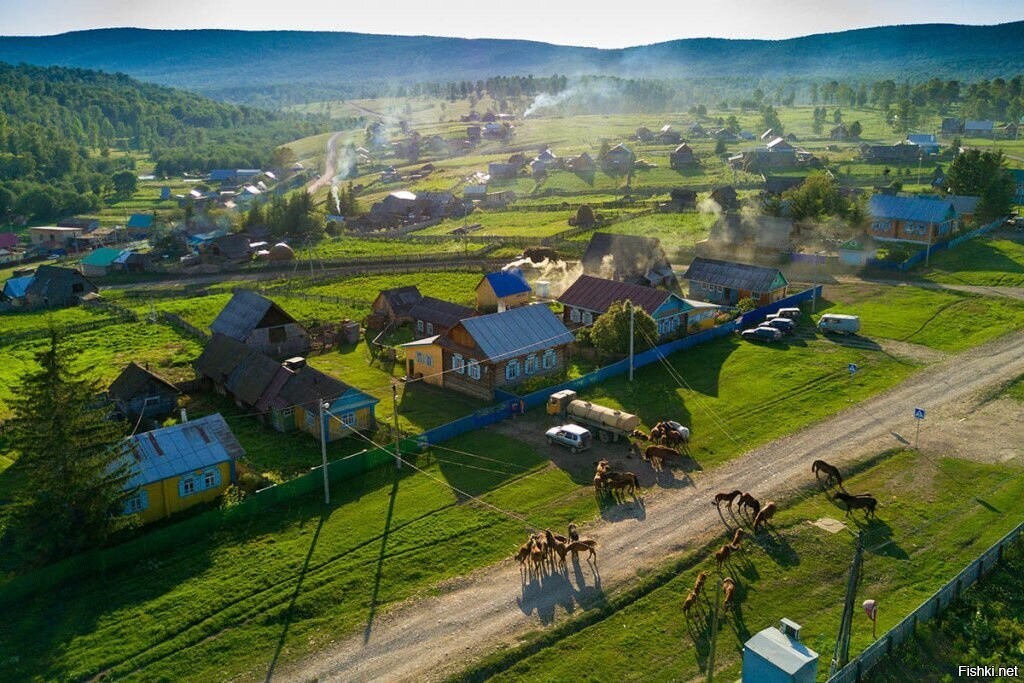 Солянка