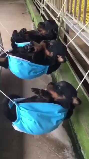 Вот для чего маска нужна )))