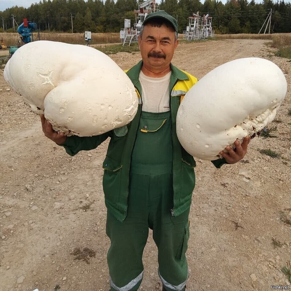 Не дал вырасти, изверг