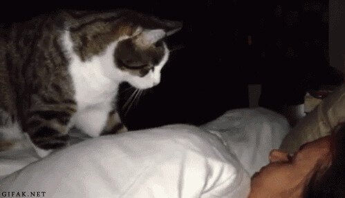 Угадайте, как ее зовут
