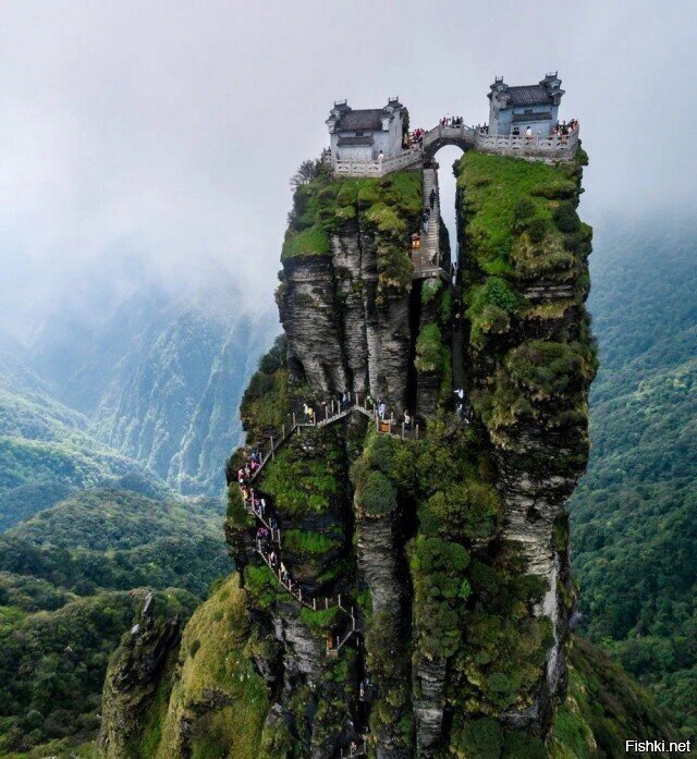 Солянка