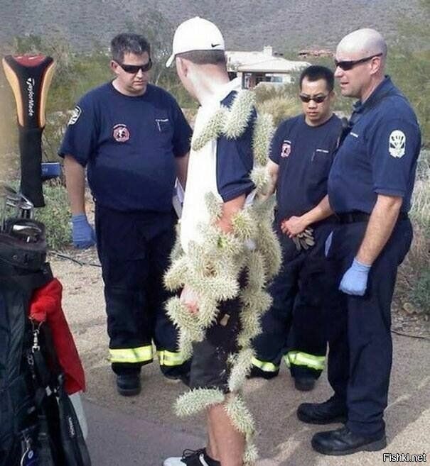 Солянка