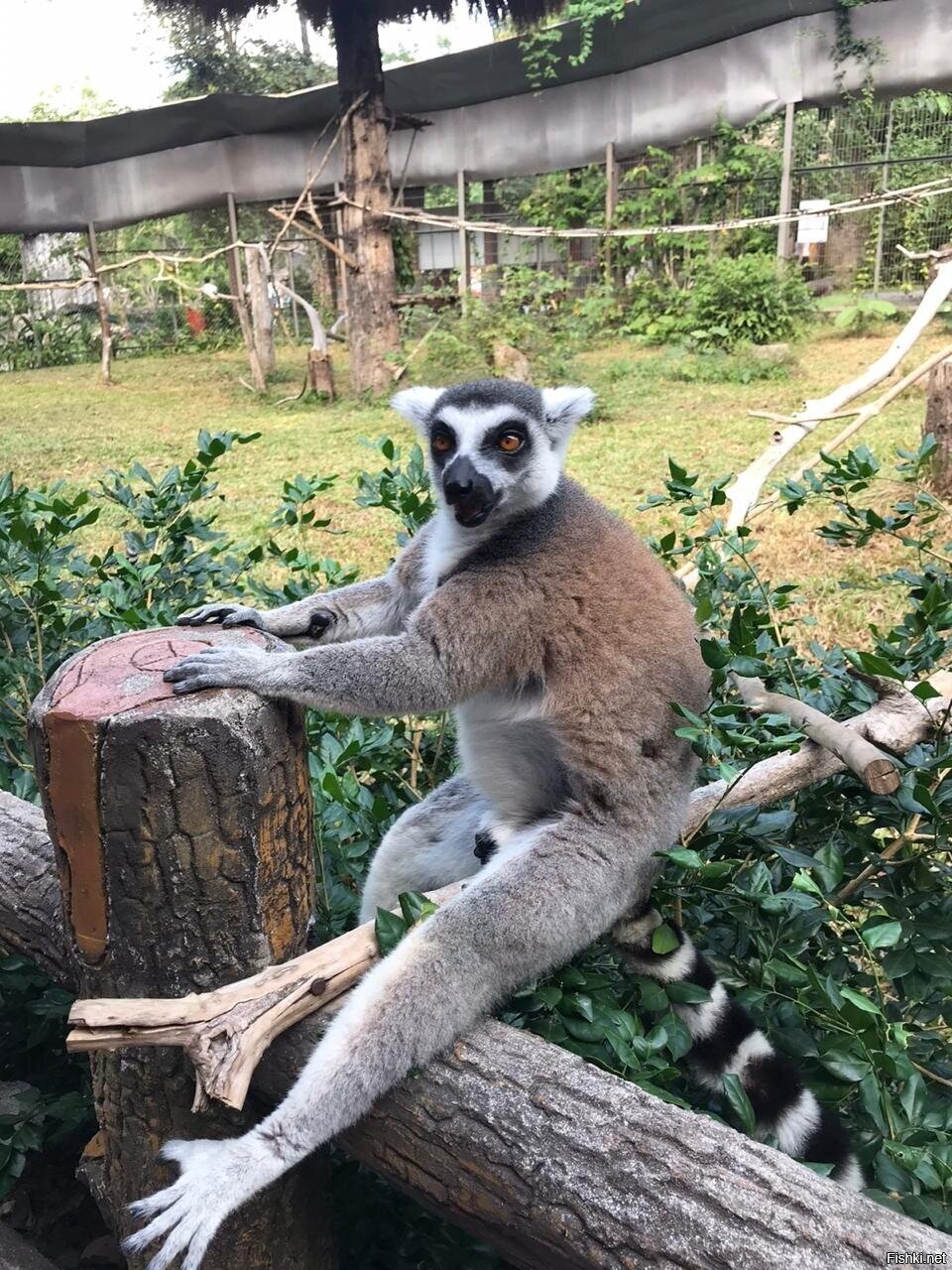 В ожидании пятницы