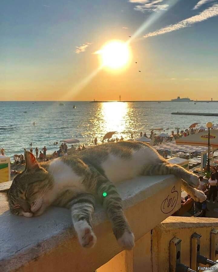 вечереет