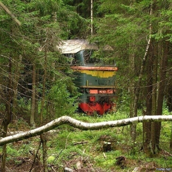 Солянка