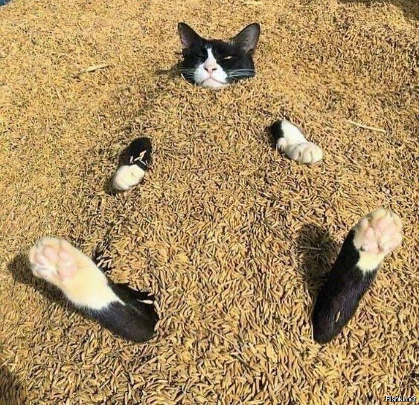Тссс